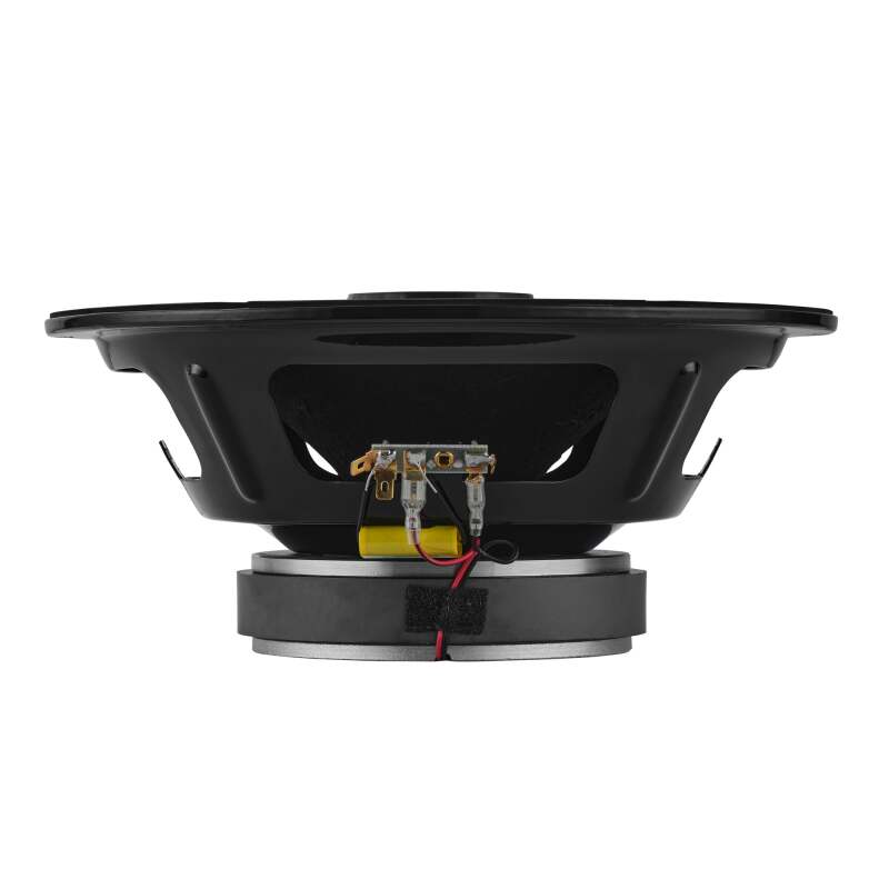 Photo - Close Up