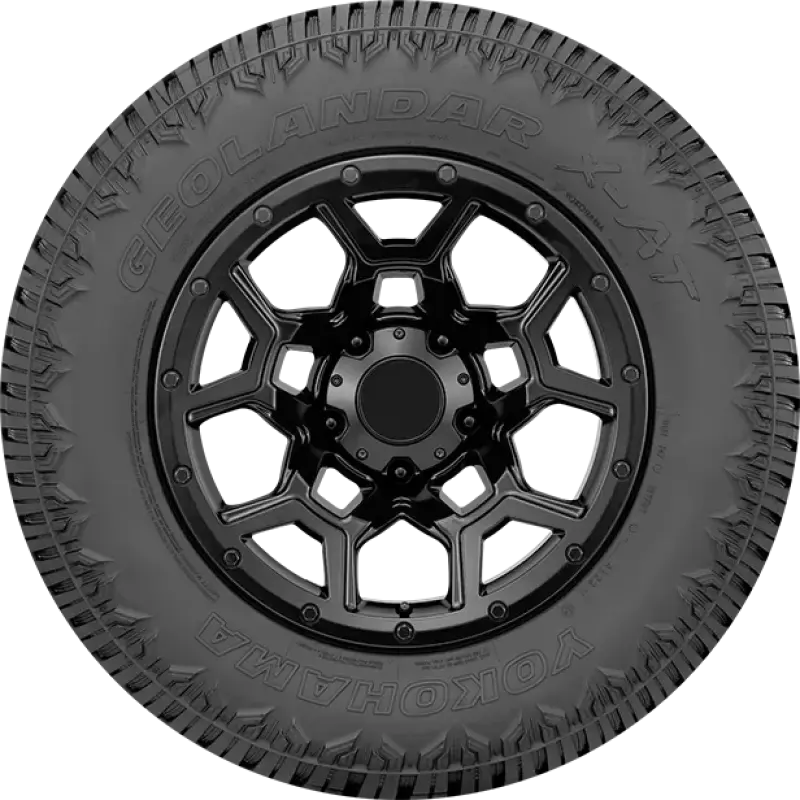 Photo - Close Up