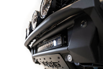 Photo - Close Up
