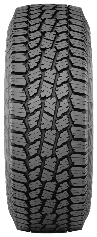 Photo - Close Up