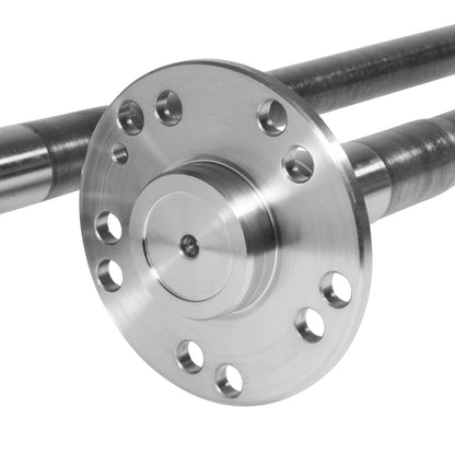 Photo - Close Up