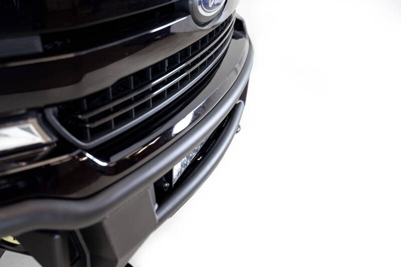 Photo - Close Up