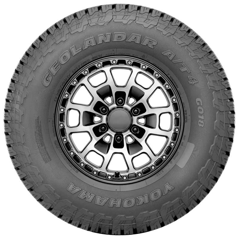 Photo - Close Up