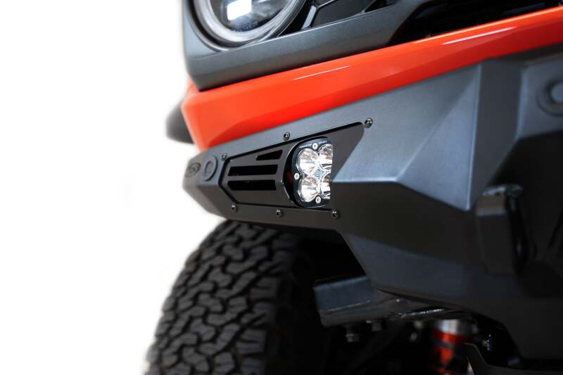 Photo - Close Up